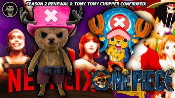 'One Piece' Creator Confirms Tony Tony Chopper Theory