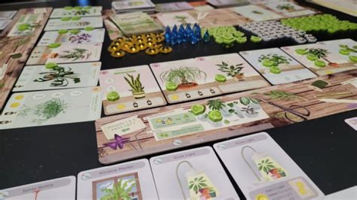 'Planted' Board Game Review: Simple Fun, Especially For Plant Lovers