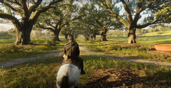 'Red Dead Redemption 2' And Why Frozen Horse Balls are Important