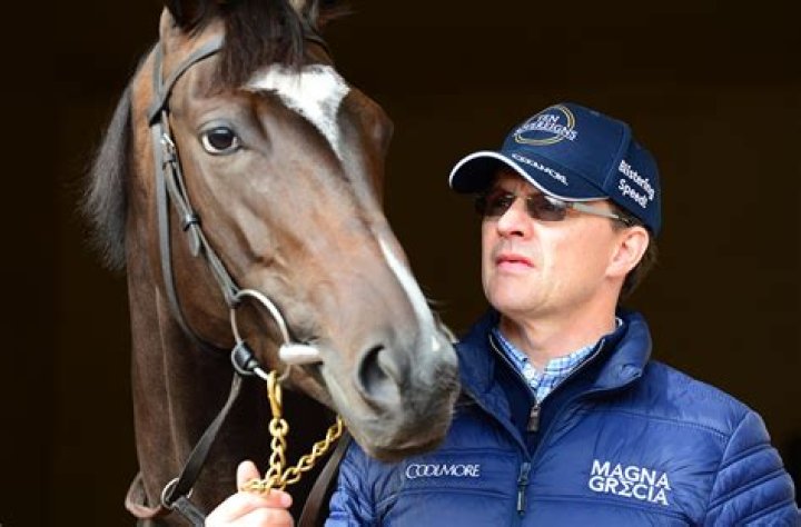 'Superstar' horse a shock name on secret list of Aidan O'Brien runners no longer in training