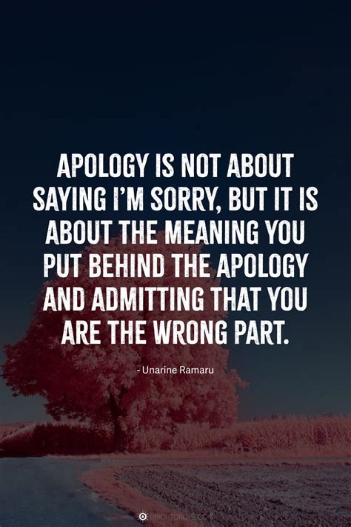 102 Heart-Warming I’m Sorry Quotes to Apologise Sincerely