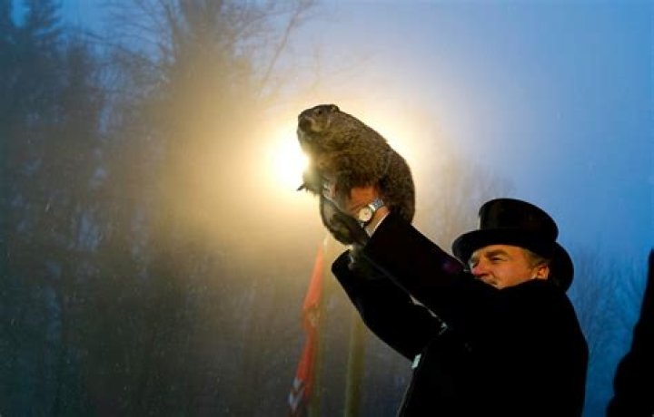 11 Groundhog Day Quotes To Help You Look Forward To Spring, No Matter What Punxsutawney Phil Says