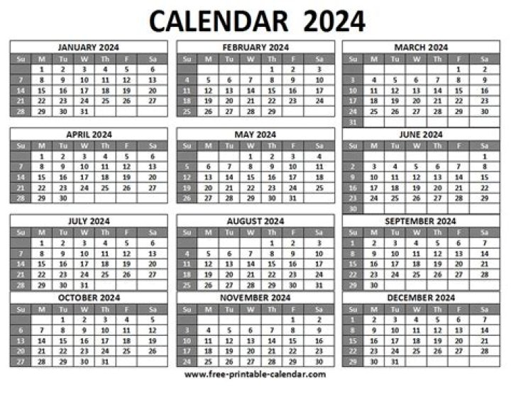 حجم البويضة الطبيعي في اليوم 12 حسب المولود وكيفية حسابها – تريندات 2024