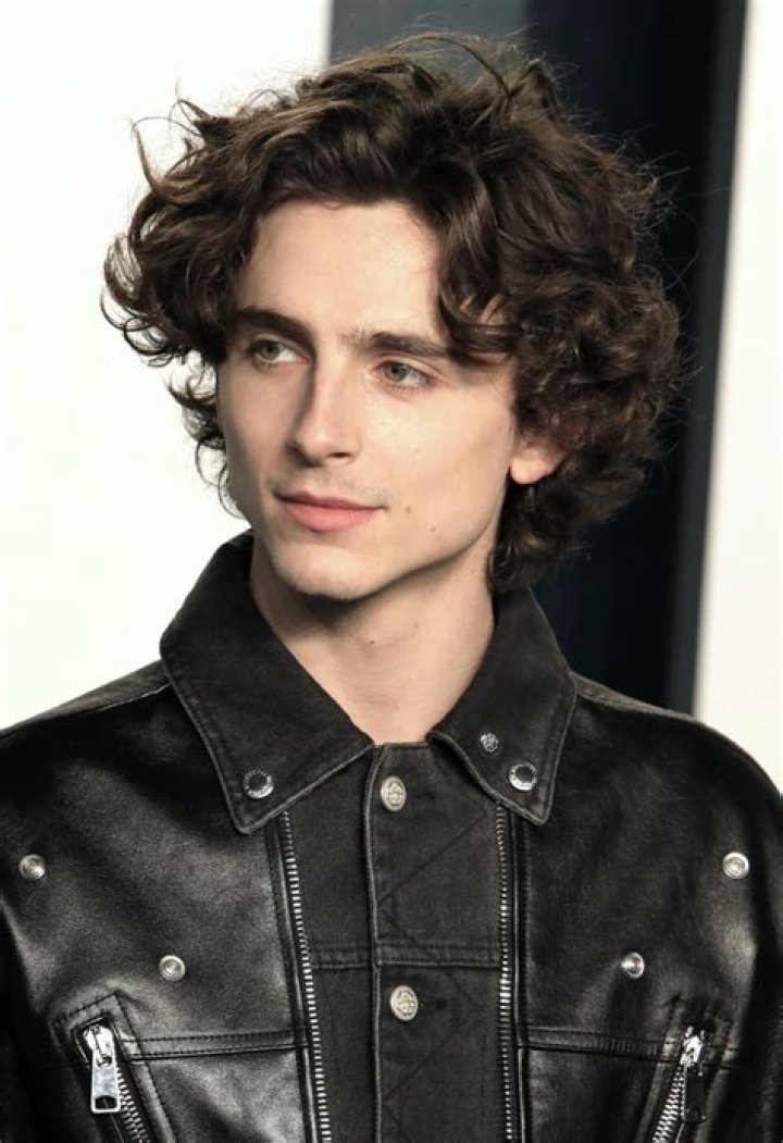 15 Timothée Chalamet's Hair Trends: Styles That Steal the Spotlight