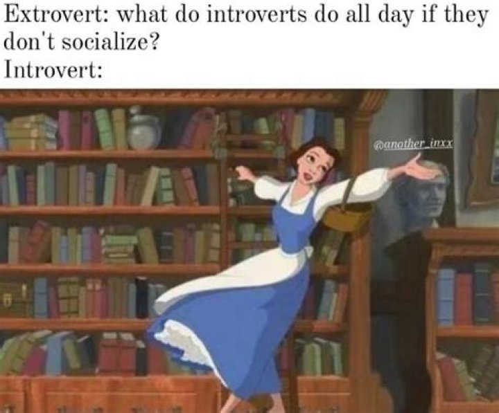 20 of the Funniest Introvert Memes