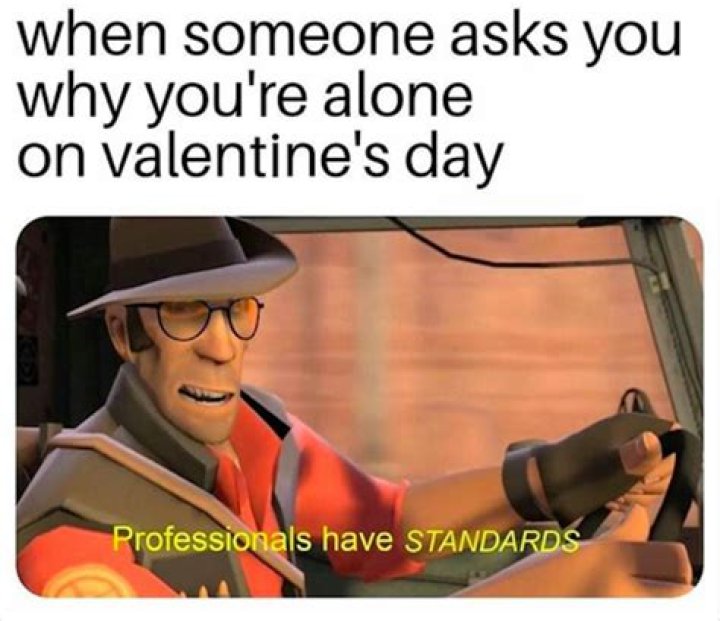 25 Valentine's Day Memes For People Who Hate Valentine's Day And All That It Stands For