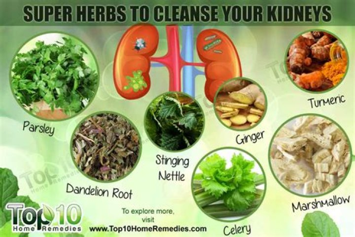 5 best herbs for kidney cleansing