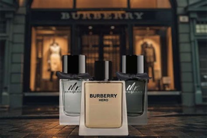 6 Best Burberry Colognes That Will Make You Smell Like Success