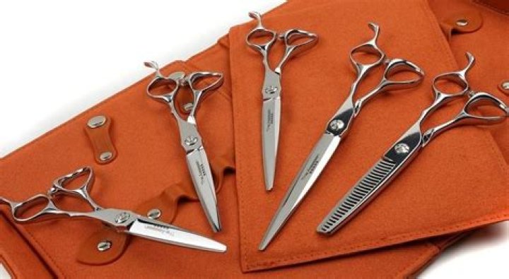 6 Best Hair Cutting Scissors For A Perfect Home Cut in 2024