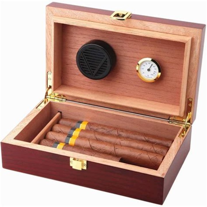 7 Best Cigar Humidors To Keep Things Fresh in 2024