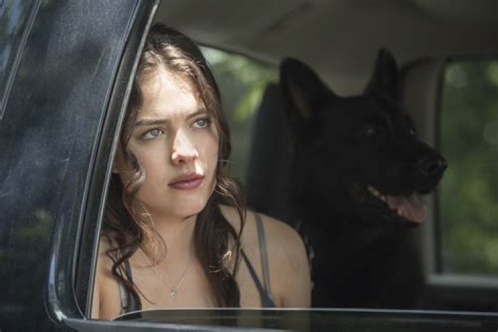 7 Best Shows Like Raised By Wolves That You Must See