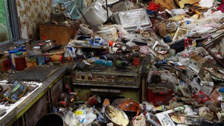 7 Reality Shows Like Hoarders You Must See