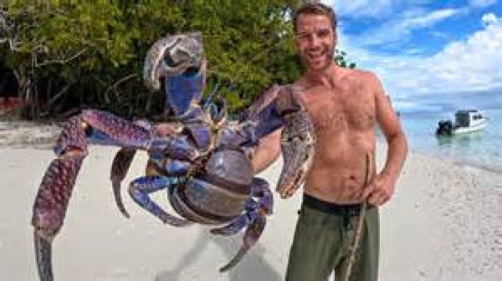 8 Movies Like Black Crab You Must See