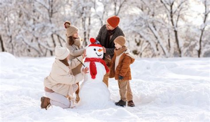 8 Movies Like The Snowman You Must See