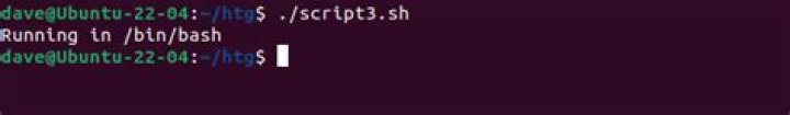 9 Bash Script Examples to Get You Started on Linux