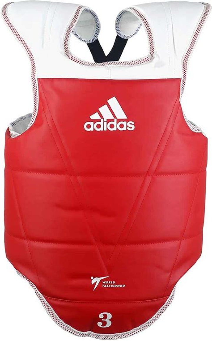 9 Martial Arts Chest Protectors To Choose