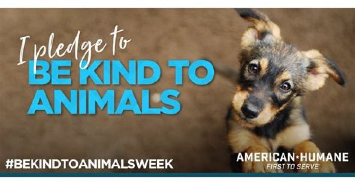 A business in Milan is doing its part in giving back to animals in need