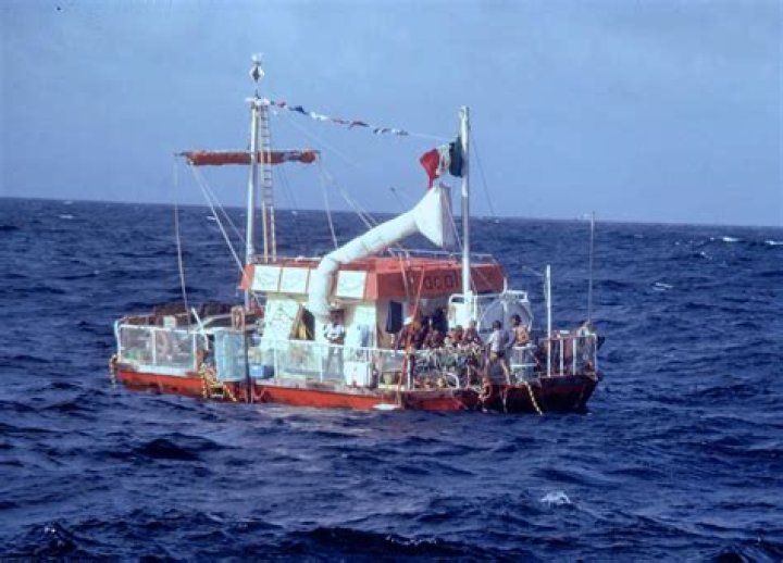 Acali Experiment: Where Are They Now?