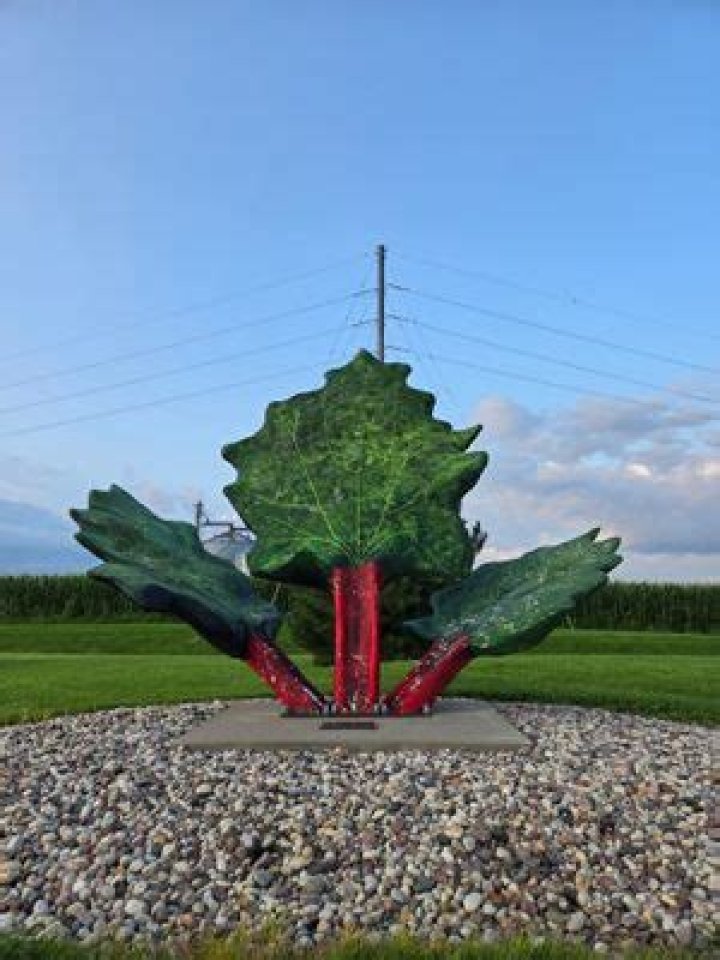 Aledo city leaders unveil Rhubarb statue