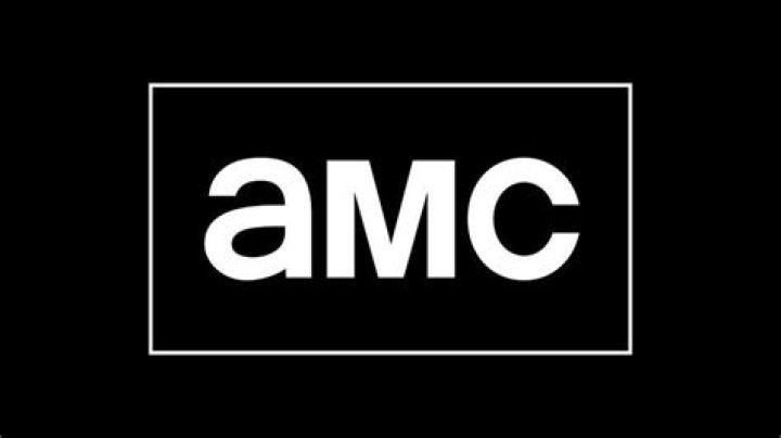 AMC Cancels Cult-Favorite Series Before Season 2 Even Premieres
