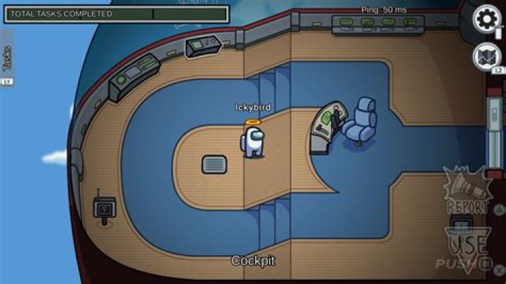 Among Us Review