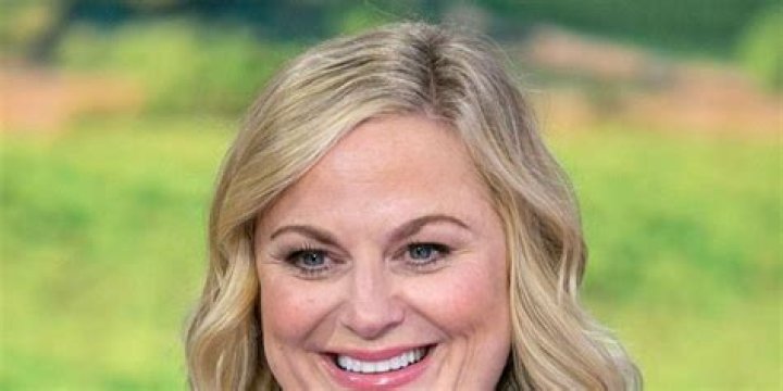 Amy Poehler - Movies, TV Shows & Book