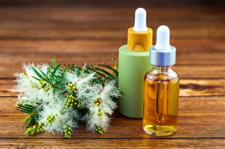 An Expert’s Guide on How to Use Tea Tree Oil for Skin Tags