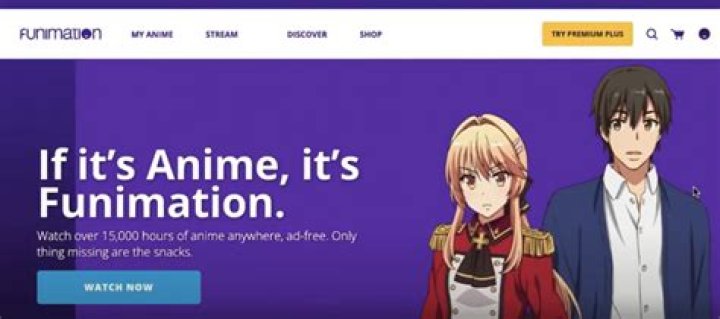 Anime Fans React to Funimation's Abrupt Removal of NSFW Anime