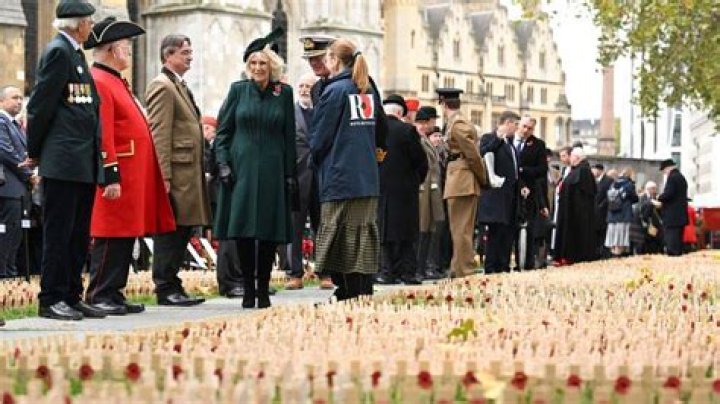 Annual poppy appeal urges Britain to put down digital devices during two-minute silence at 11am on November 11 – The Sun