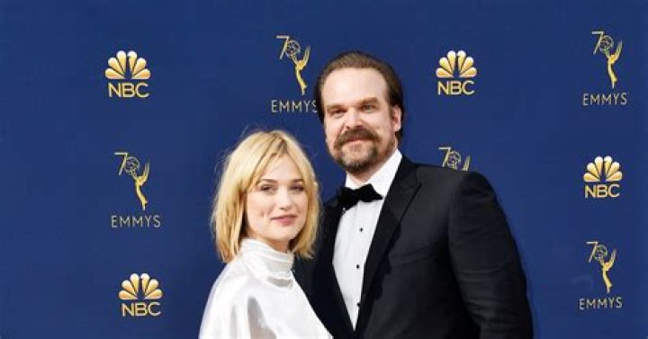 Are David Harbour & Alison Sudol Still Together? The 'Stranger Things' Star May Have Found His Perfect Match