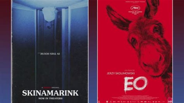 At the Movies | “Skinamarink” & “EO”