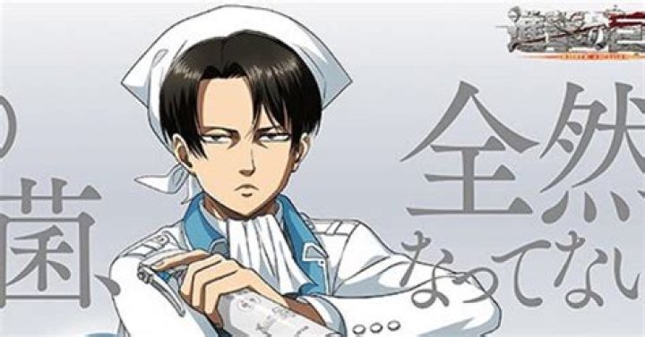 Attack On Titan Sparkles With Levi Cleaning Products