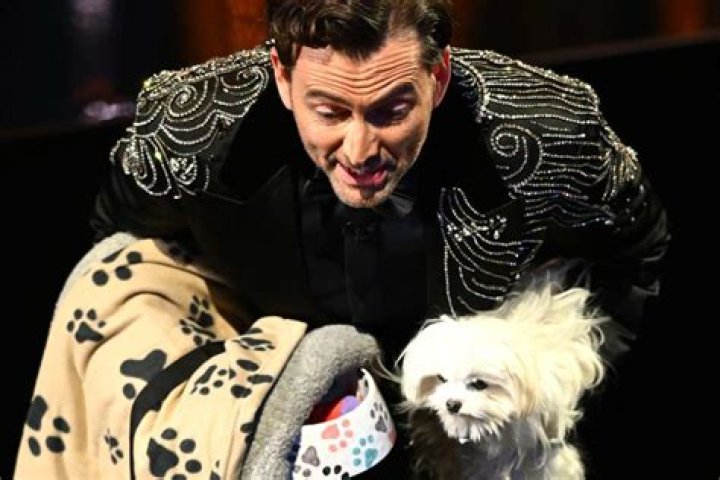 BAFTAs 2024: Top 8 Viral Moments From The Ceremony; From David Tennant Dog Sitting To Murder On The Dance Floor Performance