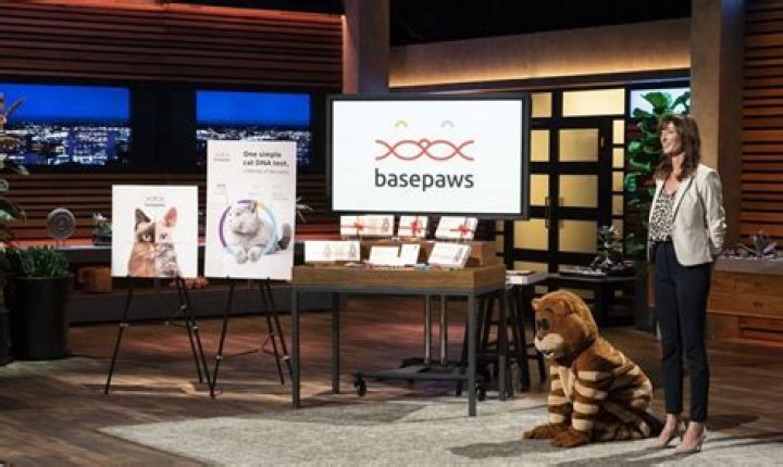 Basepaws Shark Tank Update: Where Is Basepaws Now?