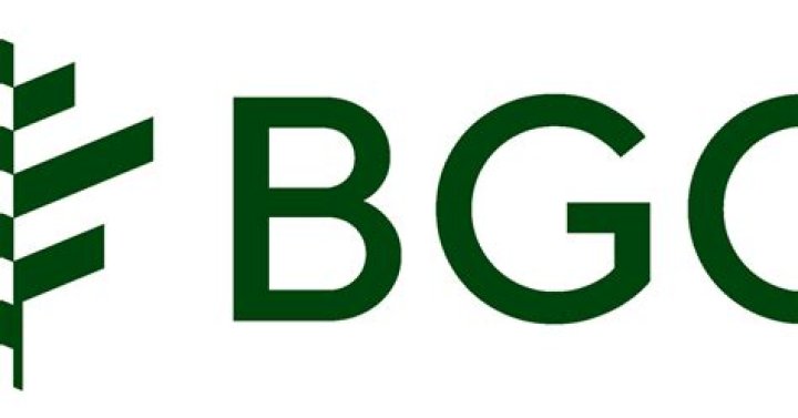 
Bgo Us Real Estate LP (New York)
