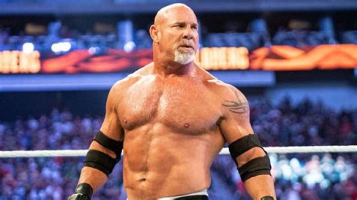 Bill Goldberg Net Worth [2023 Update]: Vacation