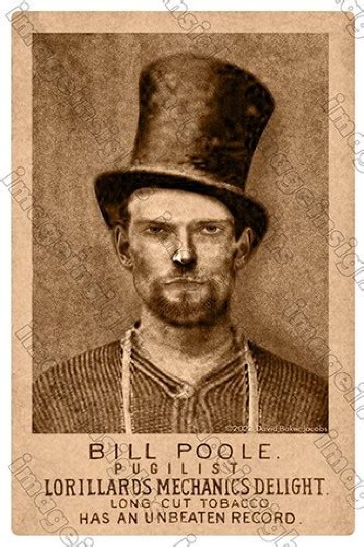 Bill the Butcher: The notorious life of William Poole