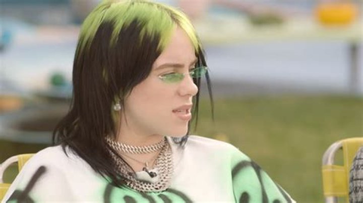 Billie Eilish’s ‘meat dress’ comments get her cancelled by Lady Gaga fans