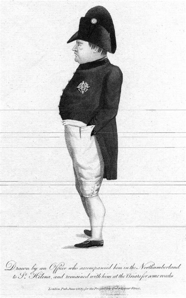 Biography, Military General, French Emperor