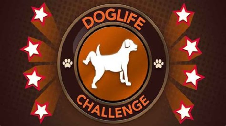 BitLife: How to Complete the DogLife Challenge