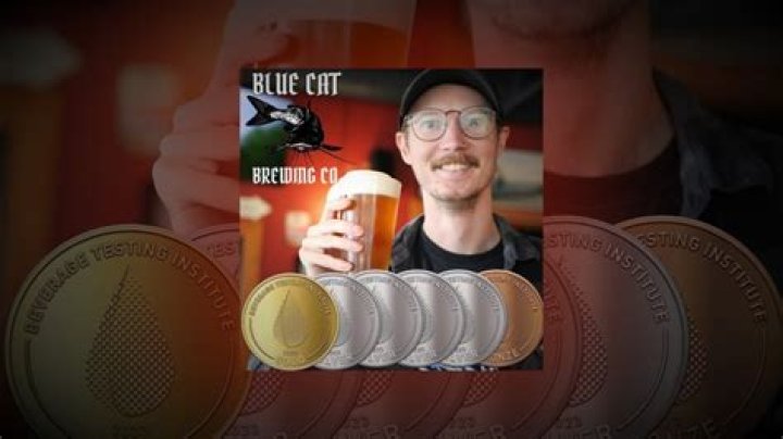 Blue Cat reopens bar after winning beer awards