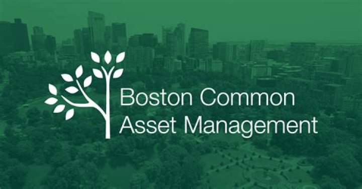 
Boston Common Asset Management, LLC (Boston)
