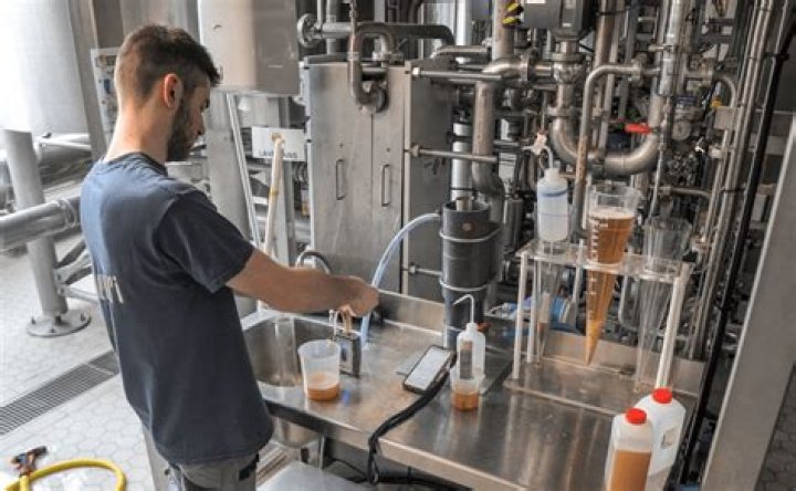 Business plan brasserie artisanale : modèle Excel gratuit