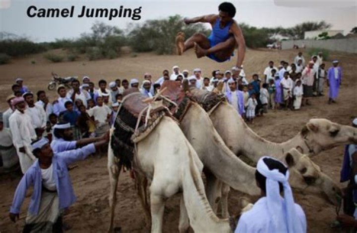 Camel jumping what is it, what rules, history with details