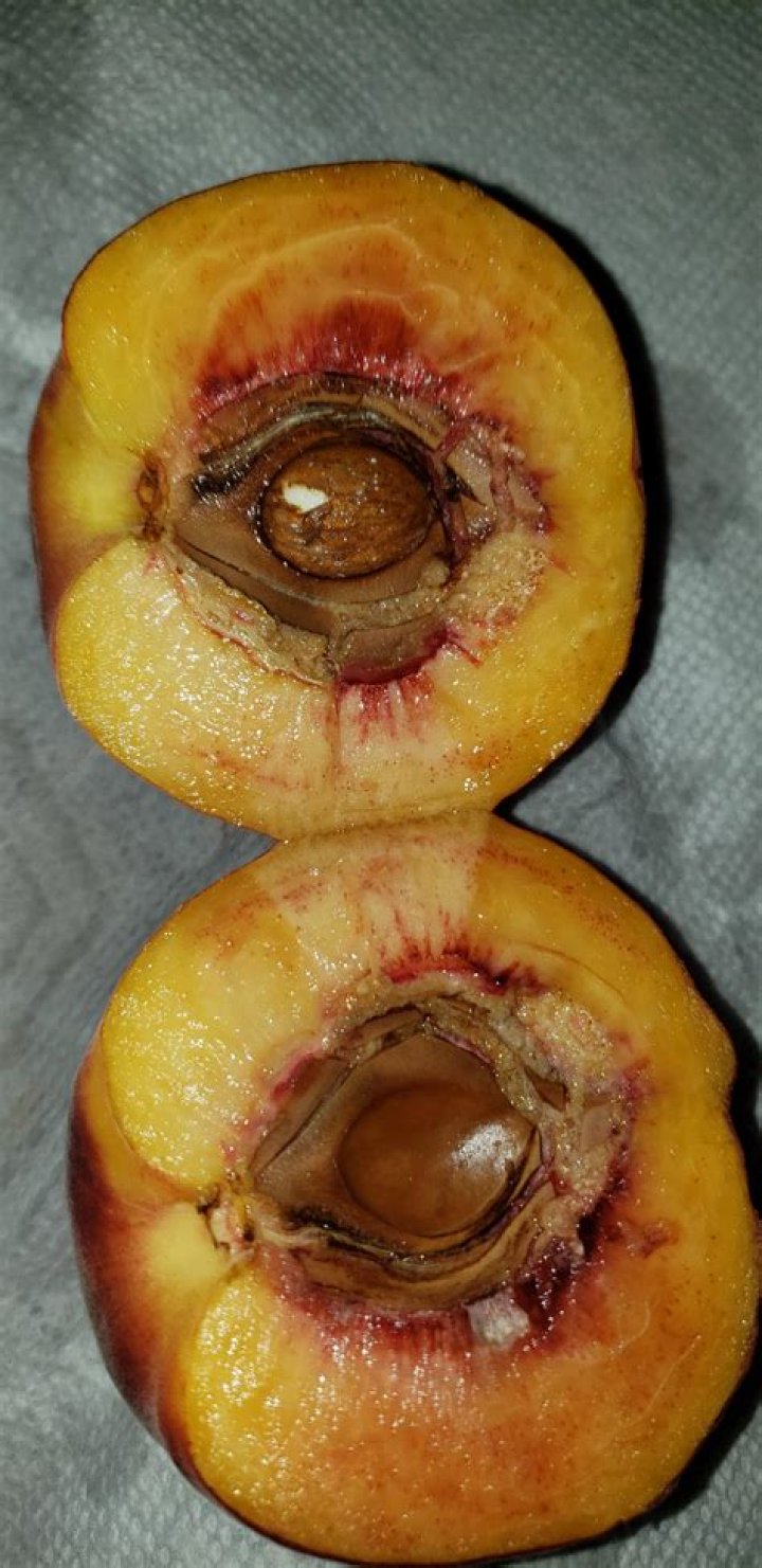 Can you eat the almond inside a peach?