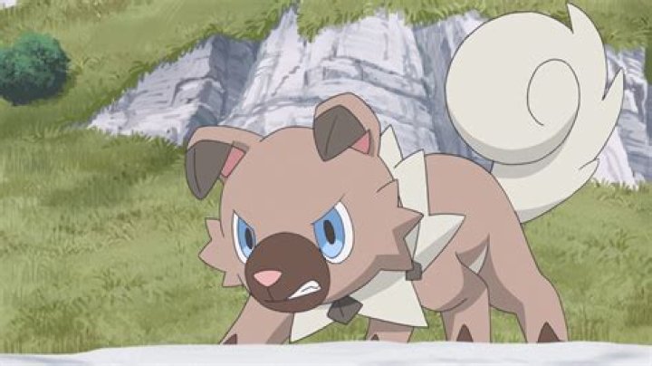 Category:Rockruff - Bulbagarden Archives