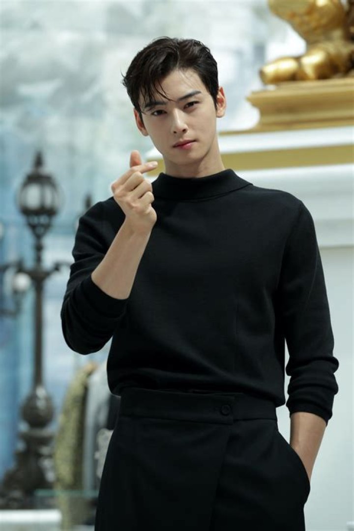 Cha Eunwoo Agency: The Rise Of A K-Pop Star