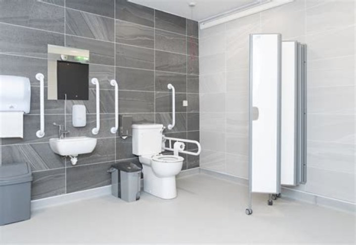 Changing places toilets in other countries?