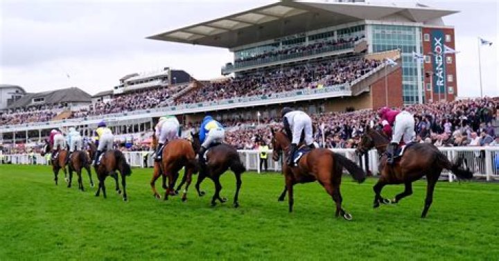 Chester racecourse News | Latest Headlines & Updates