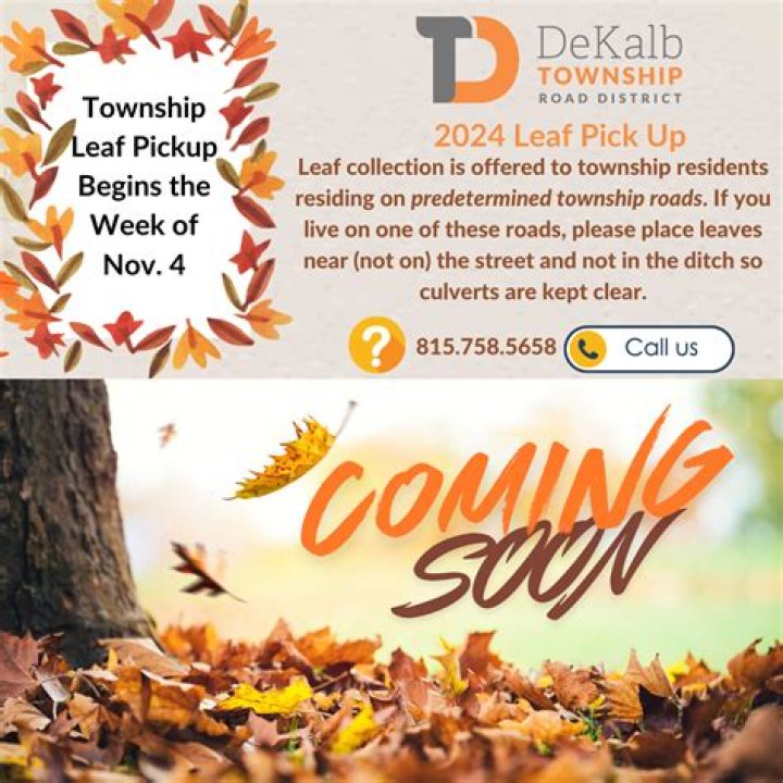 City provides leaf collection for residents beginning April 11